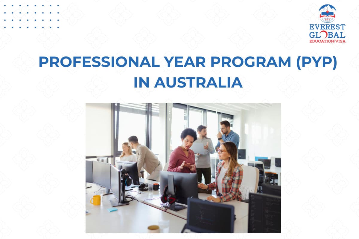 Professional Year Program (PYP) in Australia: Is It Worth It?