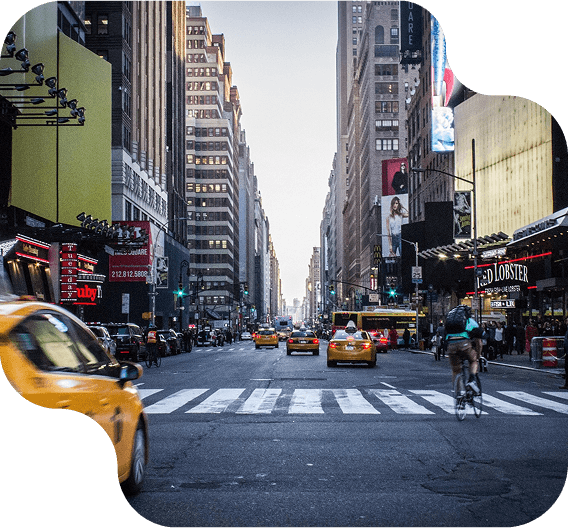 Study in the United States